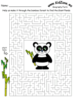 China maze