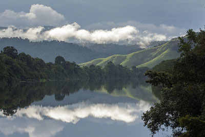 Daintree River