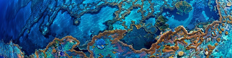 photo of the Great Barrier Reef