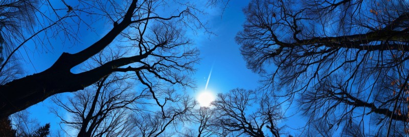 blue sky