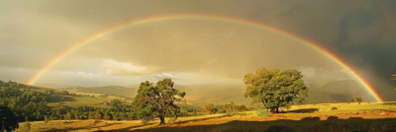 rainbow