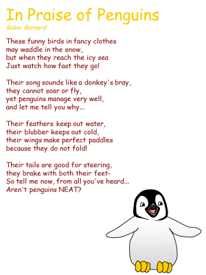penguin song