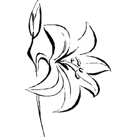 Themed Image