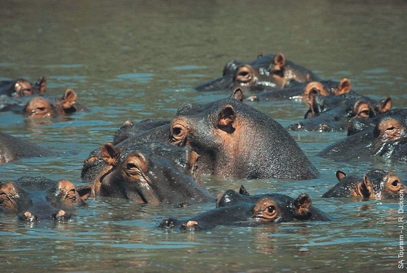 Found ‘Em
