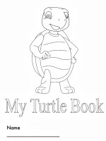 My Turtle Book
