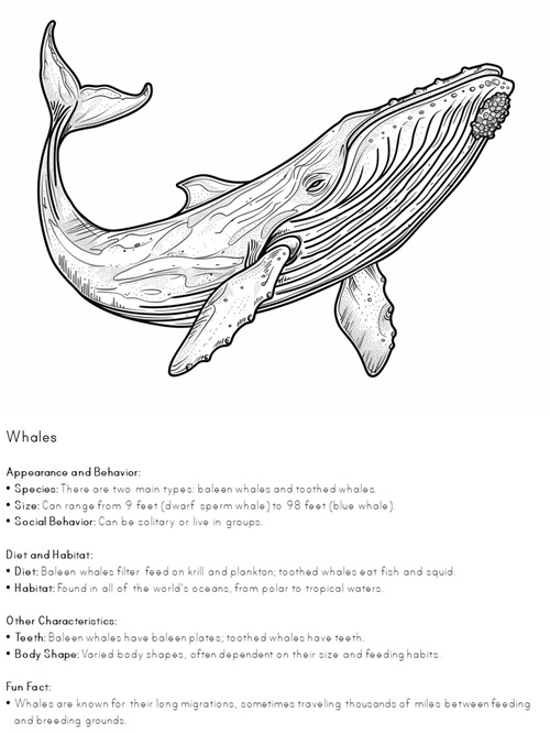 facts about whales coloring pages
