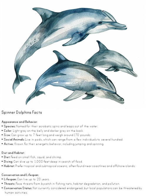 facts about spinner dolphins printable poster
