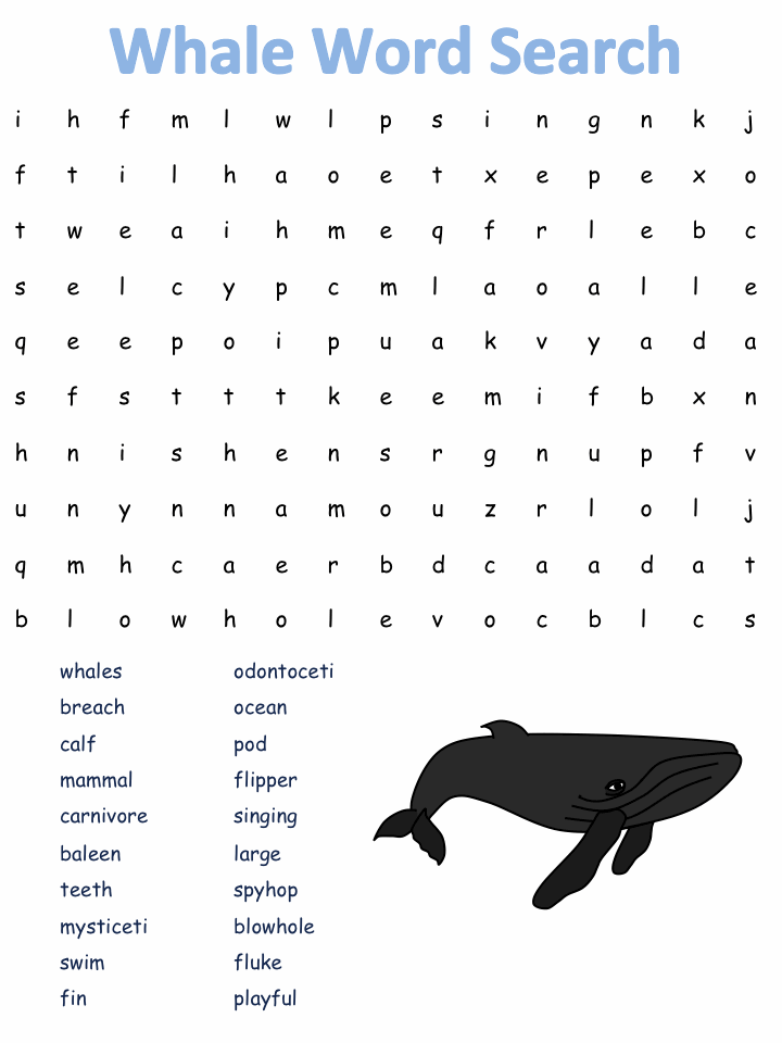 whale word searches