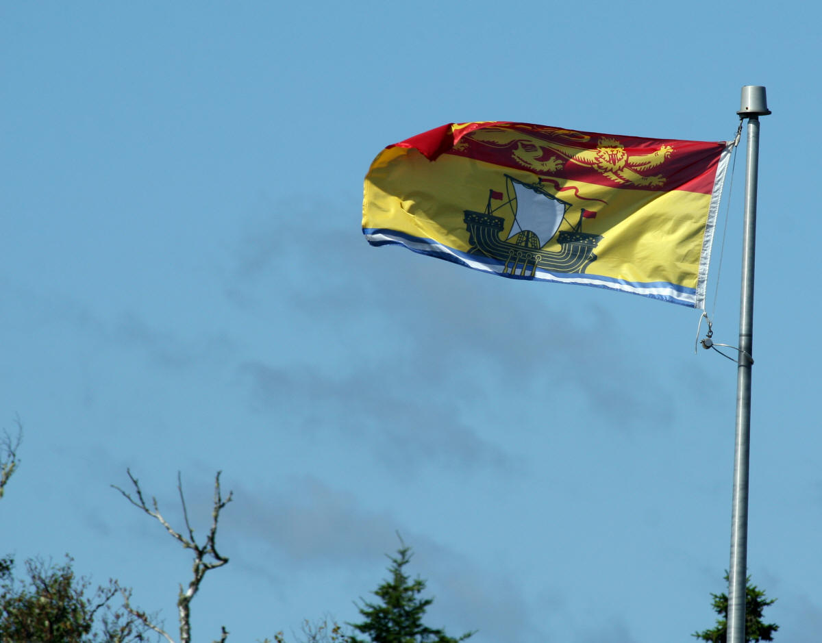 New Brunswick's provincial flag