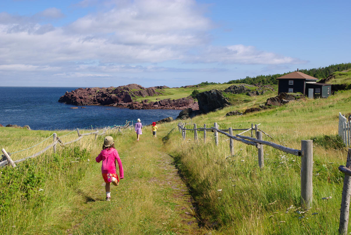 Tickle Cove
