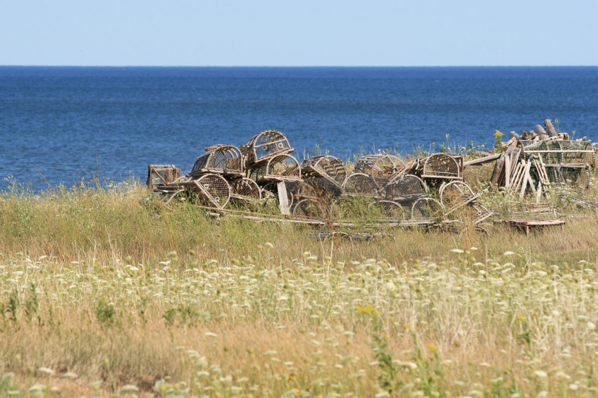 lobster traps in PEI