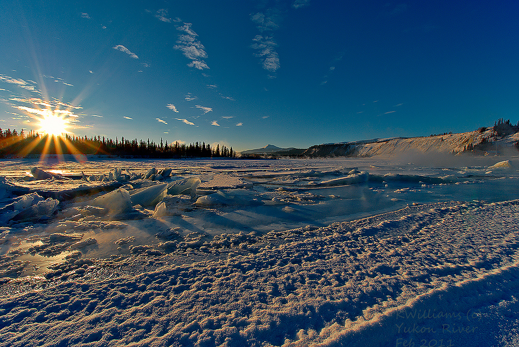 Yukon winter morning