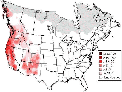 carte répartition géographique geai de Steller
