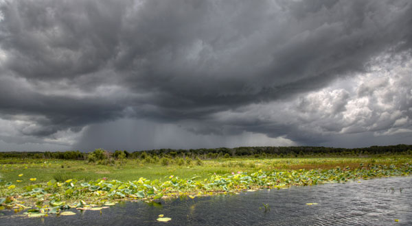 Orage sur prairie australienne