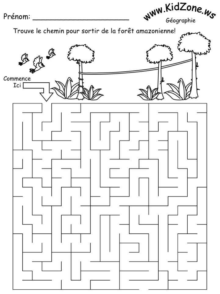 Activité: Labyrinthe de Brésil