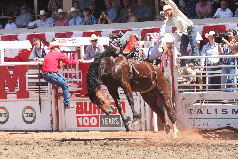 Rodéo au Stampede de Calgary, dans l'Alberta