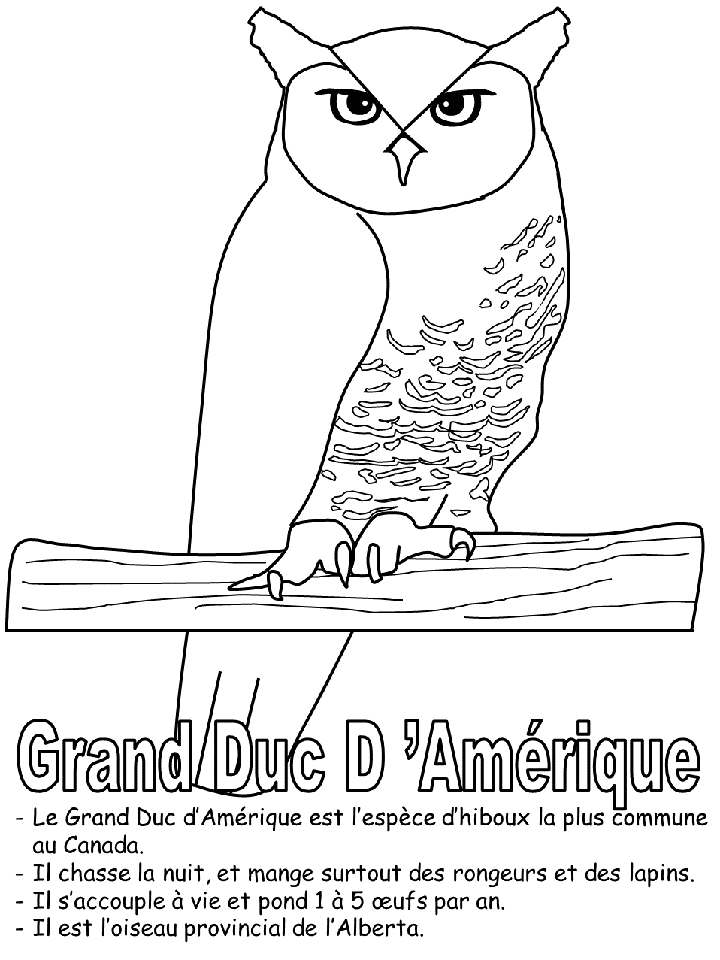 Coloriage - L’oiseau Provincial