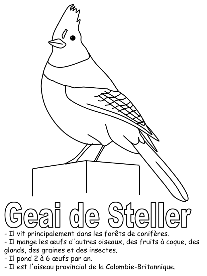 geai_info.png