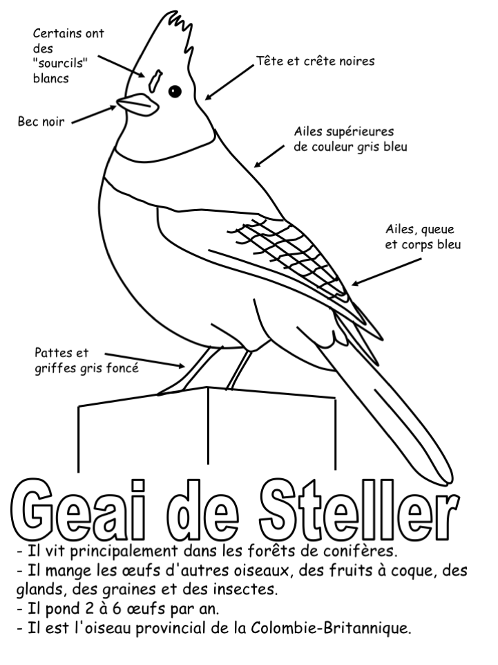 geai_info.png