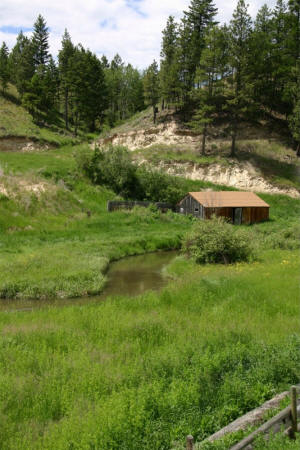 petit ruisseau aux alentours de Cranbrook, BC