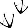 Traces