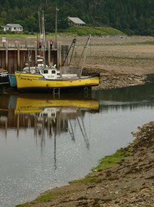 bateaux de pêche à Alma, au Nouveau-Brunswick