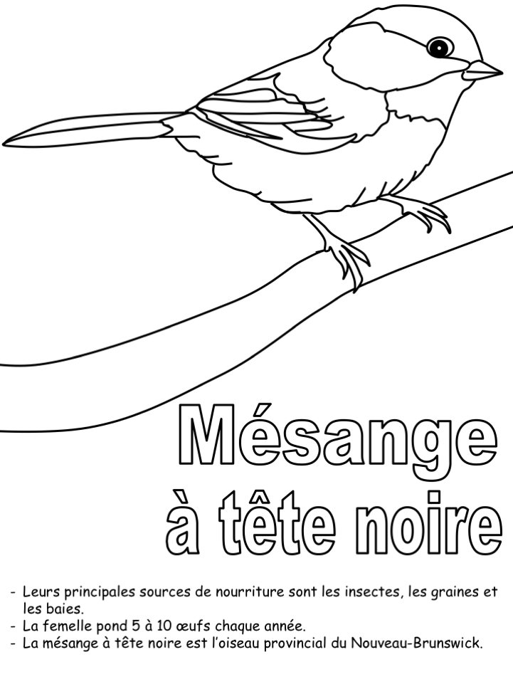 Exercice: Oiseau de provincial pour coloriage