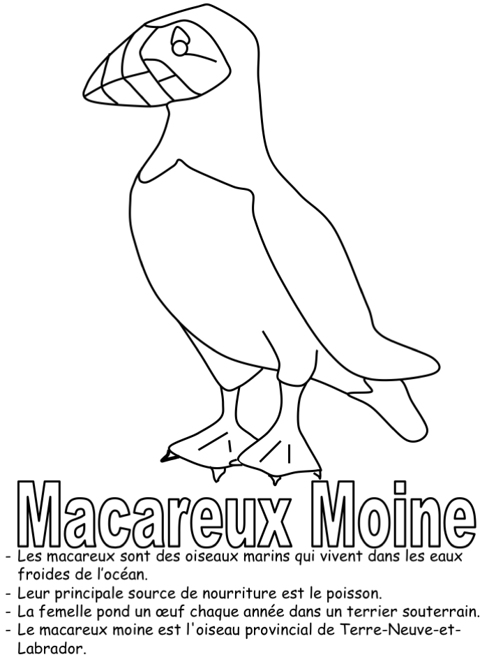 L'oiseau provincial-coloriage seul