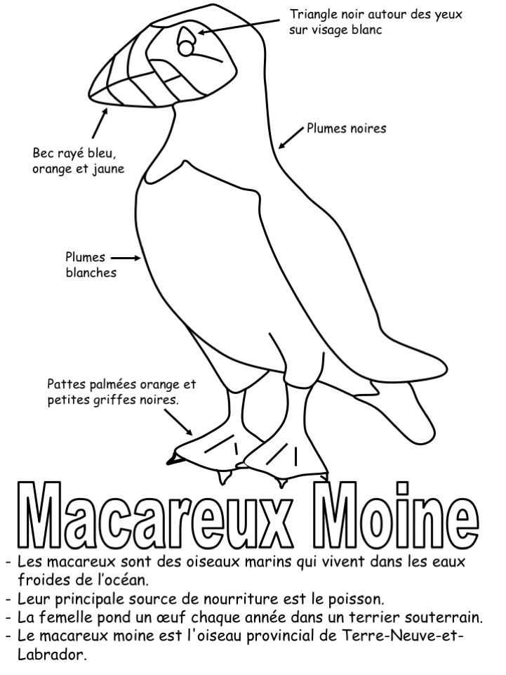 L'oiseau provincial-coloriage légendé