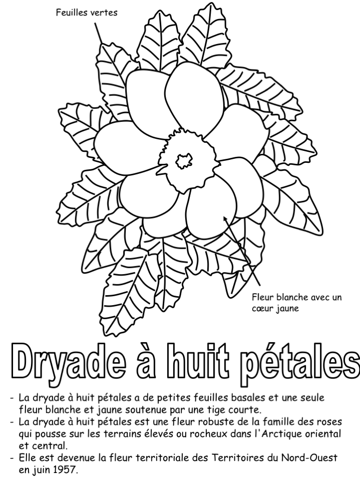 La fleur territoriale - Coloriage légendé