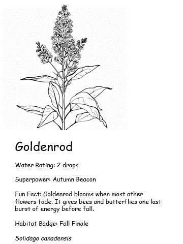 Coloring card of Goldenrod with fun fact, superpower, and water rating