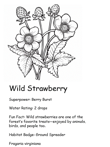 Coloring card of Wild Strawberry with fun fact, superpower, and water rating