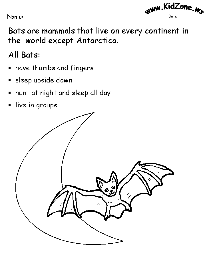 Bat Activity Sheets About Bats