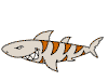 shark coloring pages