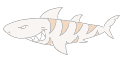 free shark clipart