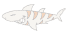 free shark clipart