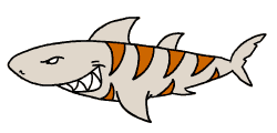 free shark clipart