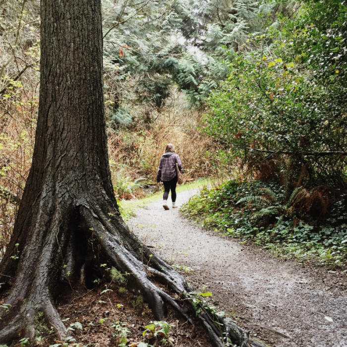 exploring Stanley Park