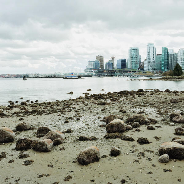 coastal city