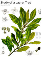 botanical print